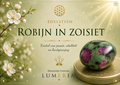 Robijn in zoisiet