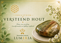 Versteend hout