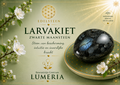 Larvakiet Zwarte Maansteen