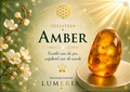 Amber - Barnsteen