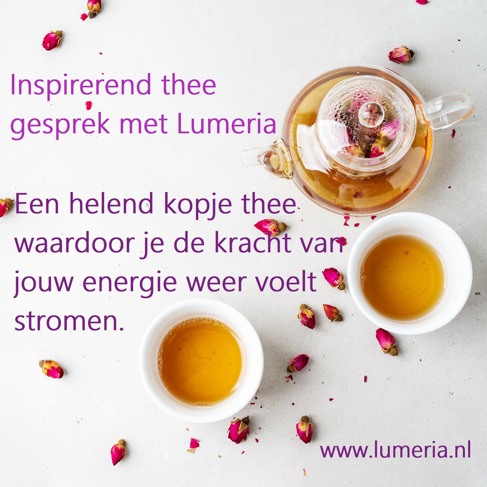 Inspirerend kopje thee - met Lumeria - Helend Opbeurend - Verhelderend Lumeriawinkel lifestyle decoratie &
