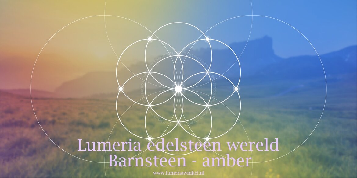 Amber-Barnsteen
