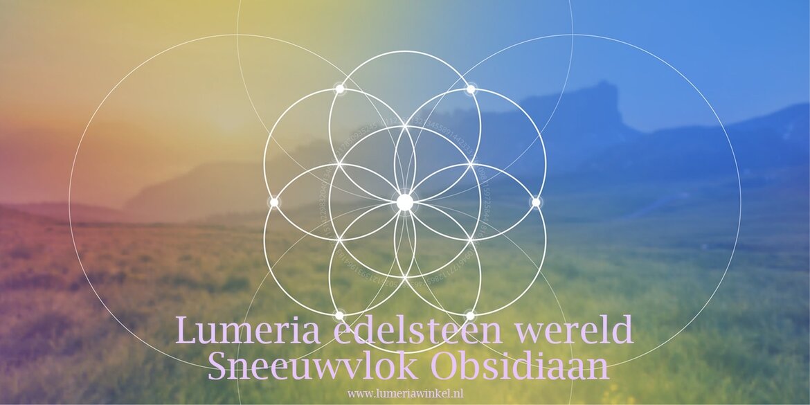 Sneeuwvlok Obsidiaan Sneeuwvlok-Obsidiaan