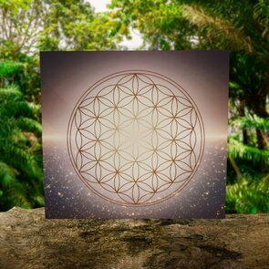 Flower of Life - Bloem van het leven energie plaat 29.5 x 33 cm