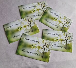 Zorgen Verdwijn - Plezier Verschijn kaartjes