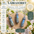 Labradoriet Healing Point – bescherming, intuïtie & transformatie
