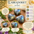 Labradoriet Hart 30 mm – Bescherming & Energetische Balans