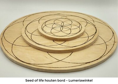 Edelsteen Grid plaat - Seed of life 20 cm