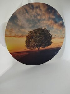 Tree of life  -  energie plaat 
