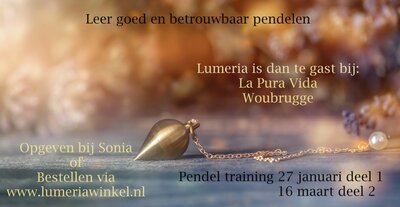 Pendelcursus Lumeria - Woubrugge bij la Pura Vida