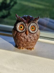 Orgonite energie uiltje - bescherming en wijsheid