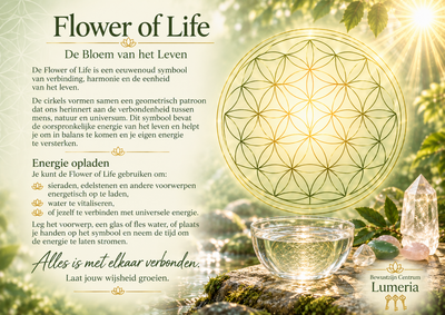 Flower of Life Energiekaart A4