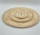 Edelsteen Grid plaat - Seed of life 20 cm_