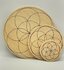 Edelsteen Grid plaat - Seed of life 20 cm_