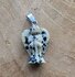 Dalmatiër Jaspis hanger engeltje 12 mm_