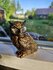 Orgonite energie uil - bescherming en wijsheid 9cm_
