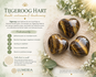 Tijgeroog Hart 30 mm – kracht, vertrouwen & bescherming 🤎✨_