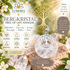Bergkristal Tree of Life Hanger – helderheid, zuivering & groei_