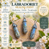 Labradoriet Healing Point – bescherming, intuïtie & transformatie_