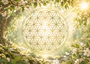 Flower of Life Energiekaart A6_